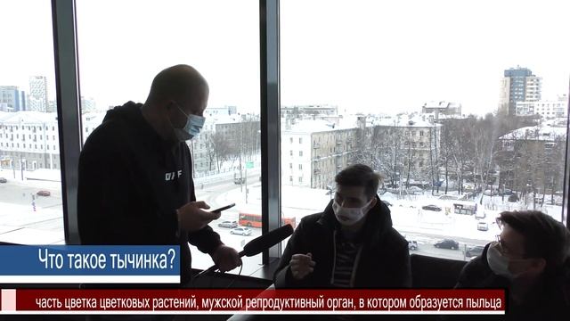 Школьные вопросы // Что такое тычинка? // шоу я знаю смотреть онлайн