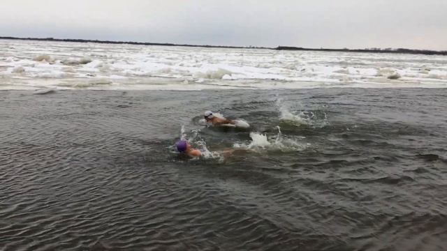 День Моржа в Хабаровске смотреть онлайн