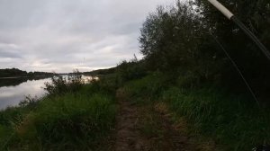 ОТВОДНОЙ ПОВОДОК | ЛОВЛЯ НА ВОБЛЕРЫ | Graphiteleader Vivo