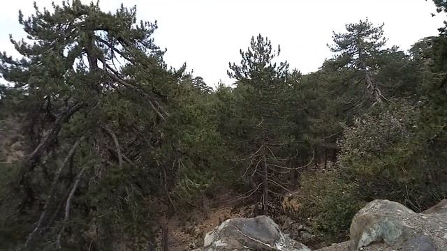 Олимп, Кипр смотреть онлайн