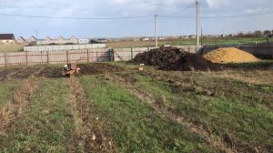 бизнес на малине с нуля || Ягодный бизнес || подводим итоги 2- года #малина #выращивание #посадка