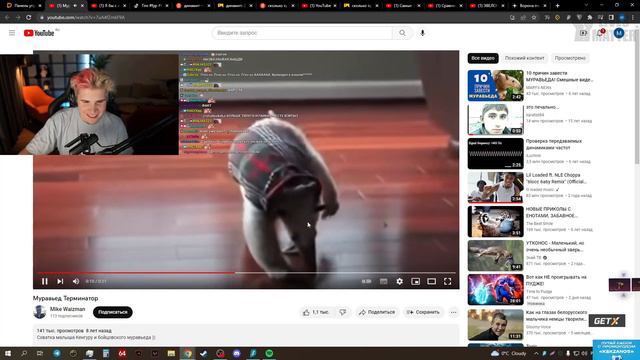 Shadowkekw смотрит Сравнение: Интеллект Животных - IQ 1 и 2 часть СТРИМ 28/11/22