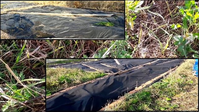 Как легко разработать заросший участок смотреть онлайн