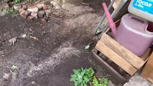 Я ТАКОГО ОТ СЕБЯ НЕ ОЖИДАЛА/ПРЕОБРАЖАЮ ДАЧНЫЙ УЧАСТОК/ВИТАЛЯ ПРОДАЛЖАЕТ РЕМОНТ СТАРОГО ДАЧНОГО ДОМА смотреть онлайн