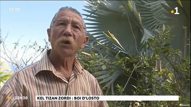 Bois d'osto cicatrisant Raymond Lucas смотреть онлайн