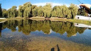 Ультралайтовые покидушки Shimano Calcutta BFS vs Daiwa Pixy PX68 против Ming Yang W300 какая дальше