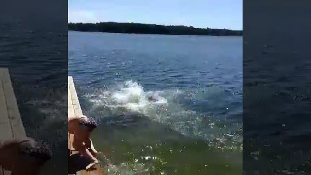 ОТДЫХ НА ОЗЕРЕ УТКУЛЬ смотреть онлайн