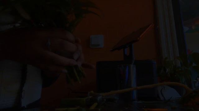 Bouquets And Boutonnières