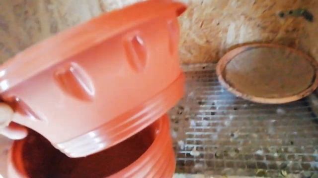 Гнёзда для голубей за 9гривен смотреть онлайн