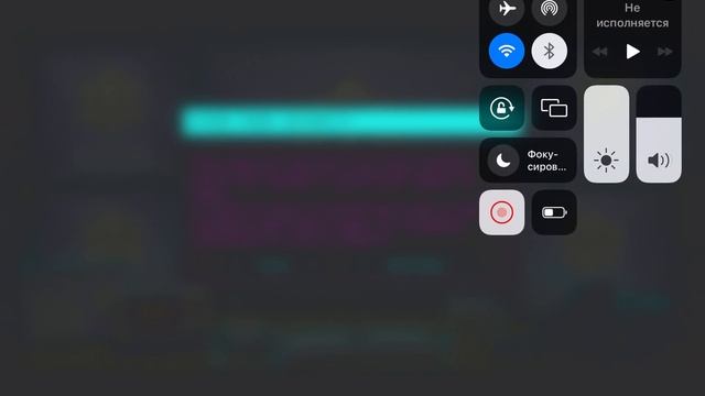 11 ноября 2023 г.