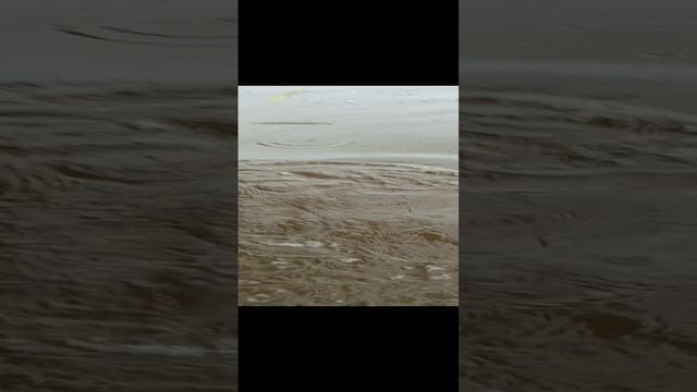 щука 🦈 на поплавок