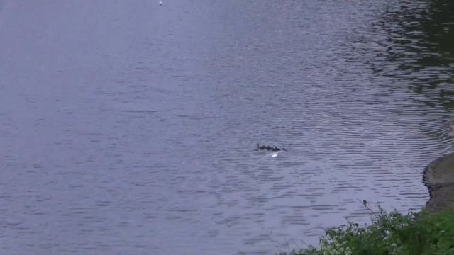 Проект Солослово 2 смотреть онлайн