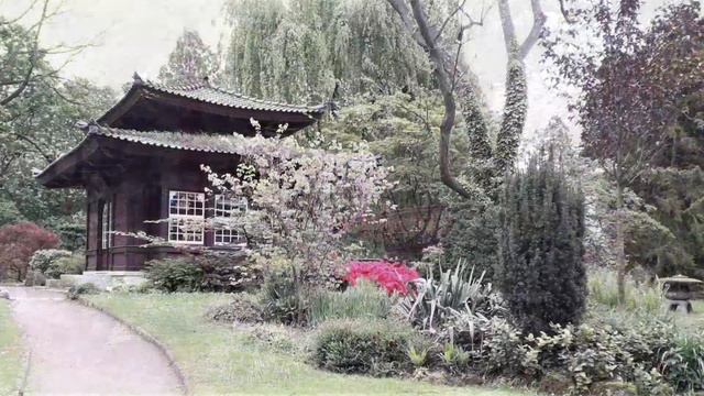 Самый красивый японский сад в Германии. Леверкузен смотреть онлайн