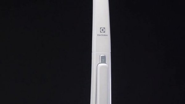 Electrolux ErgoRapido EER7ALLRGY