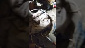 Установка mini Led линз в Opel Astra G с доработкой #opel #opelastrag