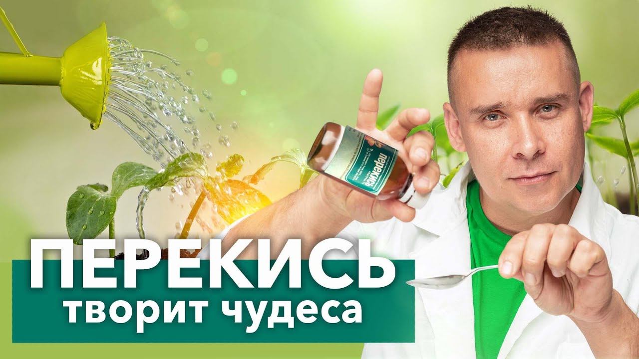 ОПРЫСКАЙТЕ ТАК 1 РАЗ И БОЛЕЗНИ И ВРЕДИТЕЛИ БУДУТ НЕ СТРАШНЫ! Перекись водорода для рассады и цветов