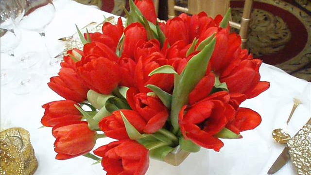 Wedding Planning & Event Design смотреть онлайн