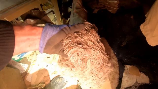 Брошенные дома в глуши Кировской области. Заброшенная деревня Медведковы. Покинутый Мир Вятки. смотреть онлайн