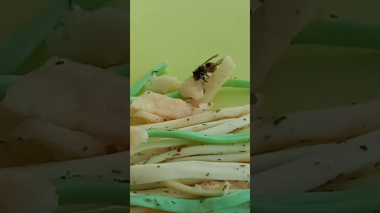 7 сентября 2024 г.