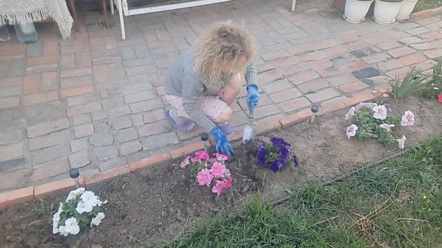 Стройка из ЭППС началось! смотреть онлайн