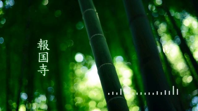 Sao Meo Orchestral Mix - Doug Maxwell & Zac Zinger смотреть онлайн