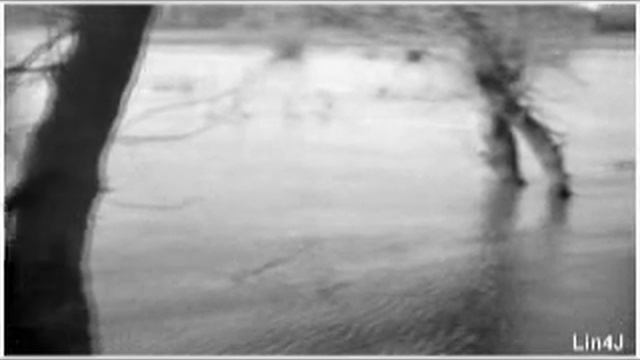 Небо засыпай Птицы смотреть онлайн