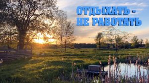 #21. Пионерские выходные. Лесные раскопки. Плов. [Жизнь на своей земле]