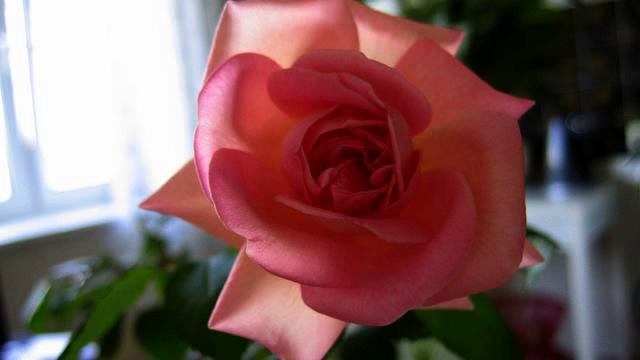 Слушать новую русскую музыку в машину онлайн