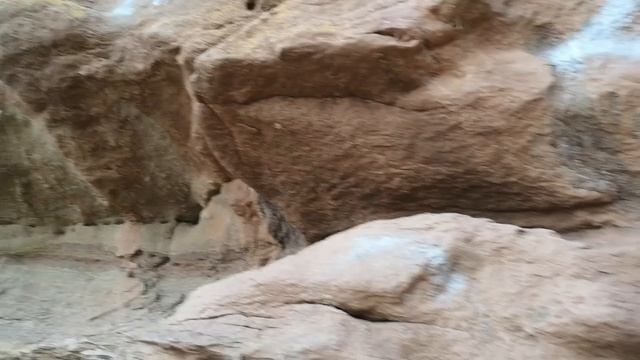 Разродилась кошка в песчано-глиняном памятнике природы! Искала залежи глины, а нашла Кошку и 5 котя смотреть онлайн