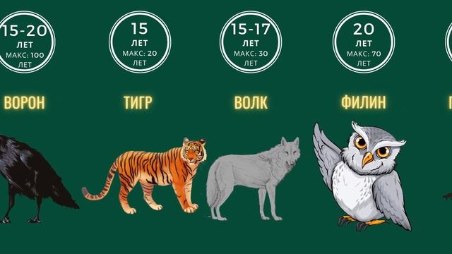 Кто может жить до 400 лет? Животные долгожители смотреть онлайн