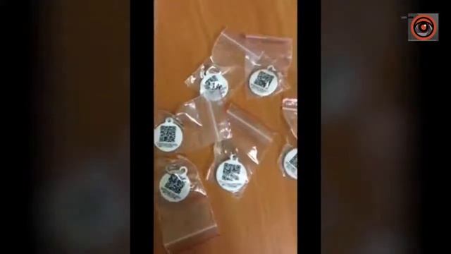 Почему нужно обязательно чипировать домашних собак смотреть онлайн