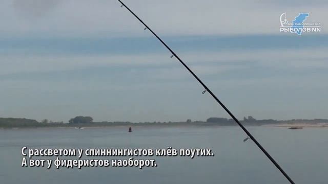 Рыбалка на Оке. Ловля жереха... д.Погорелка смотреть онлайн