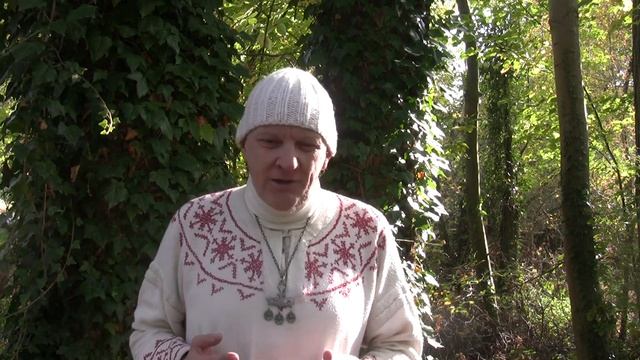 Die Esche, der germanische Weltbaum (Allsherjargode 46) смотреть онлайн