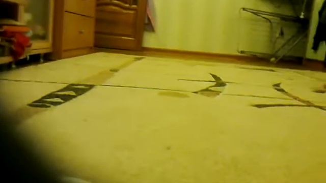 Мои рисунки пони ( часть 1) смотреть онлайн