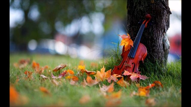 L'air du Toréador (violin and piano duet) La Corda d'Oro-Koichiro Muroya смотреть онлайн