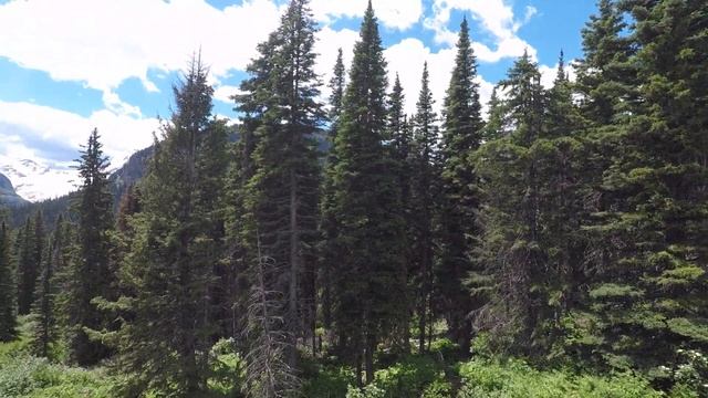 ОС #174 / Национальный Парк Глейшер (Ледник) / штат Монтана, США / часть 2 / #beautifulnature смотреть онлайн