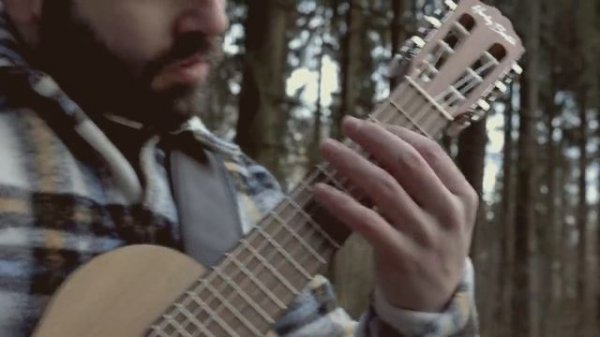 Scar Tissue (Red Hot Chili Peppers)  Luca Stricagnoli