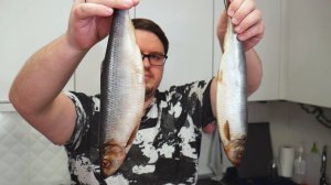 Шикарная ЗАКУСКА из СЕЛЕДКИ. Намазка на хлеб, которая не оставит вас равнодушным!