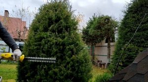 Дешёвый кусторез против дерева.