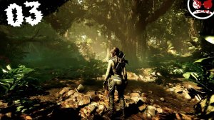 Джунгли зовут!