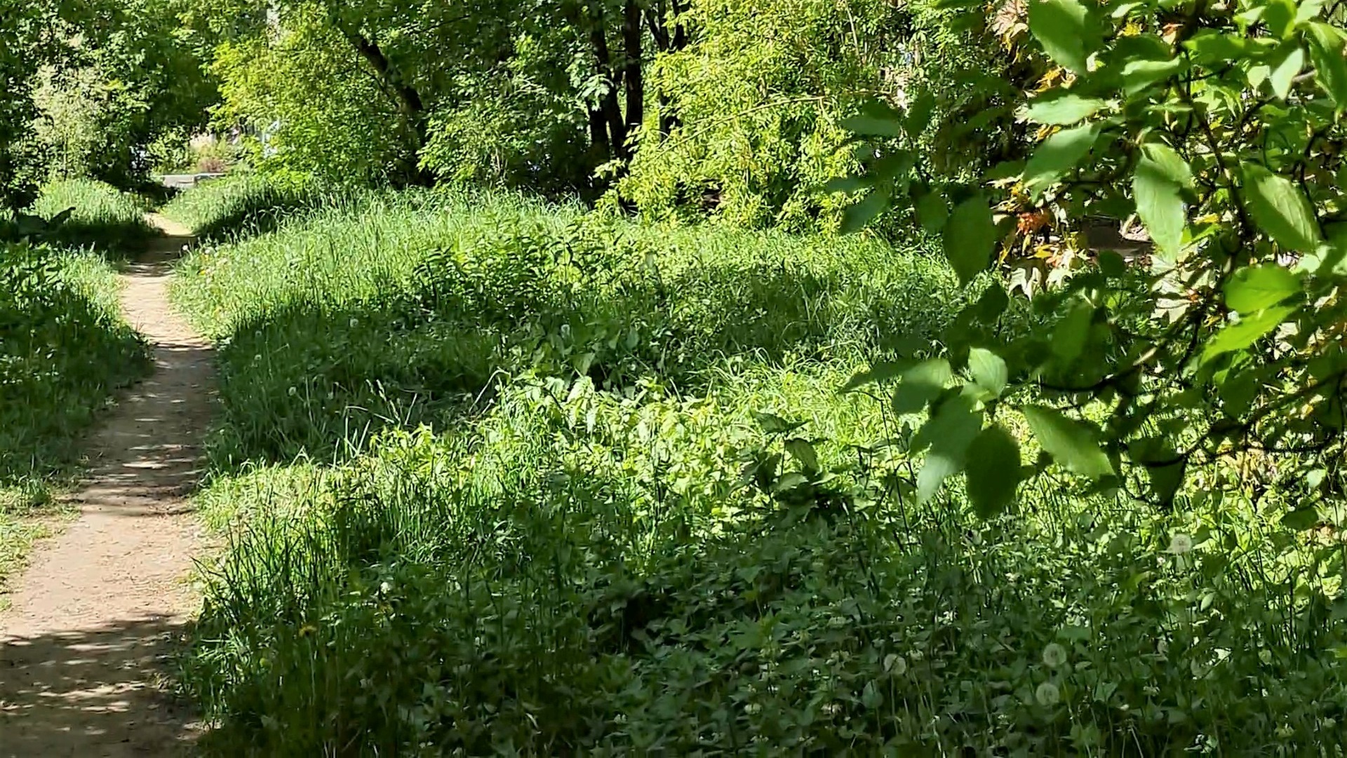 Сверху вниз - #shorts