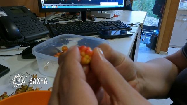 Уборка: источник вдохновения и бодрости