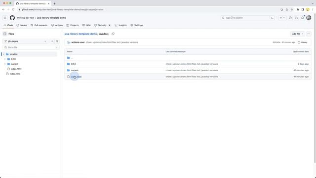 java-library-template 4/7: Javadoc deployed via GitHub Pages смотреть онлайн