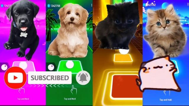 Cute Cats VS Cute Dogs | Bongo Dog | Bongo Cat | Tiles Hop EDM Rush смотреть онлайн