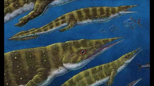 Удалось увидеть нового динозавра который ушел с суши в океан. Таинственный новый динозавр обнаружен