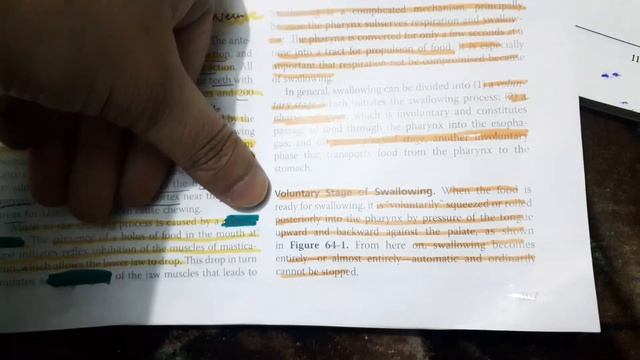 GIT Guyton chapter 64 part 2 Mastication #Mjee смотреть онлайн