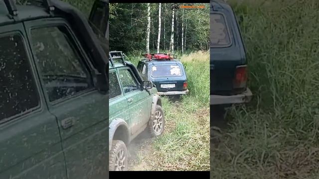 Нивы задали жару!#бездорожье #4х4 #внедорожники #покатушки #trophy #mud #offroad #car #нива #ваз смотреть онлайн