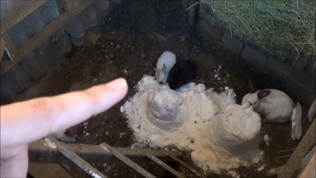 Кролики в яме Иркутск зимнее содержание кроликов в яме часть 30 смотреть онлайн