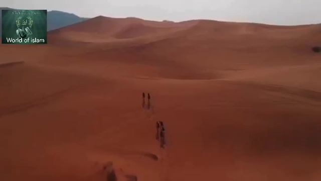 Почему Умар ибн аль Хаттаб заплакал:#ислам #коран #islam #quran #Хаттаб#умар #пророк смотреть онлайн