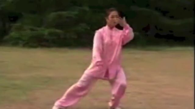 TaiChi24-English and Chinese subtitles смотреть онлайн